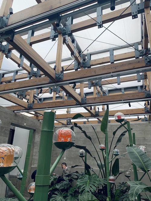 上?？Х戎?百年皂廠變身白七咖啡廳,給城市留下溫暖記憶