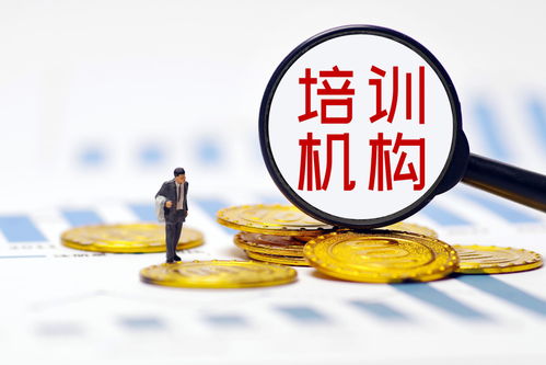 雙減政策落地重塑行業(yè)生態(tài)，培訓(xùn)機構(gòu)探尋轉(zhuǎn)型之路——多家A股上市公司發(fā)文回應(yīng)，公共就業(yè)服務(wù)或迎新機遇