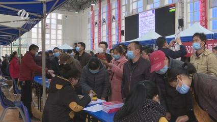 株洲市“就業創業地圖”上線，精準導航職業中介服務新體驗