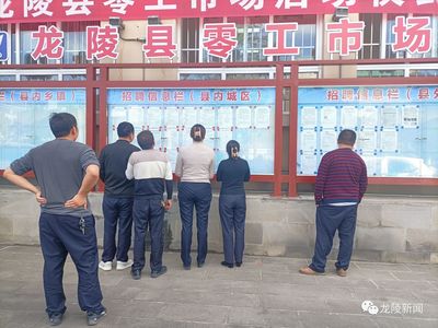 龍陵 多維度促進就業創業，高質量托穩民生幸福——職業中介服務的核心角色與創新實踐